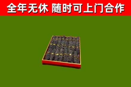 南康回收海参